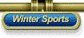 Winter Sports